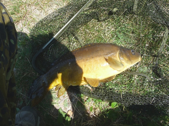  Fishing for carp in Tlaxco 