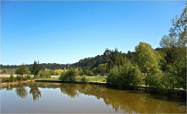  Enjoy fishing in Tlaxcala 