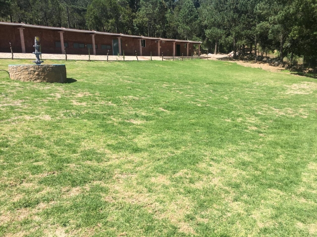  Surroundings of casa goyri 
