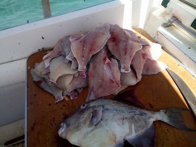 Pesca pronta para comer 