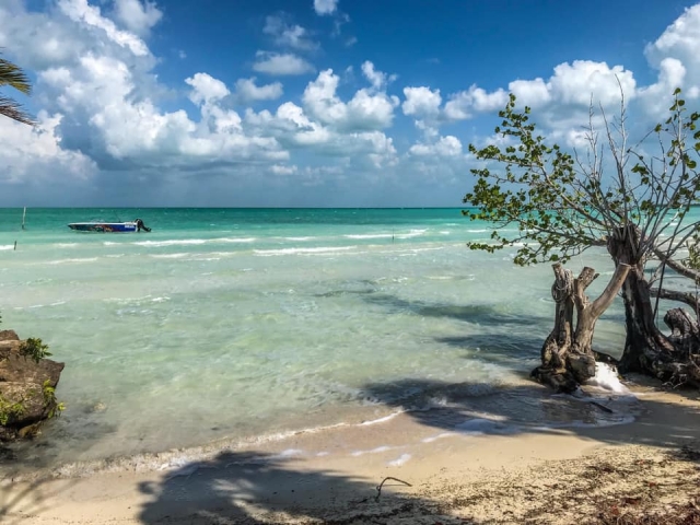  Blick auf den Strand von Cayo Venado 