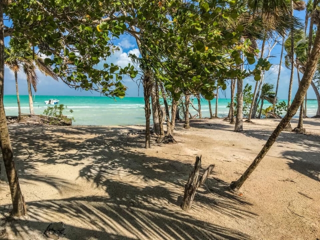  Aktivitäten in Cayo Venado 