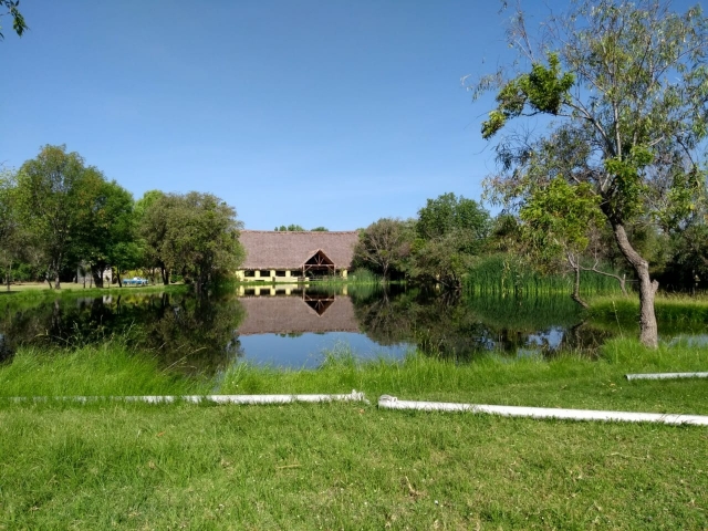 Jardínes y lago del complejo