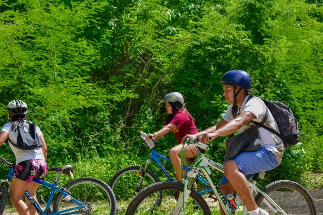 Tour en bici de montaña