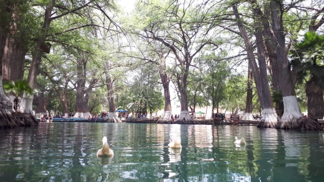  Natürliche Umgebung im Wasserpark