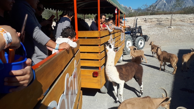  Safari-Zug in Monterrey 