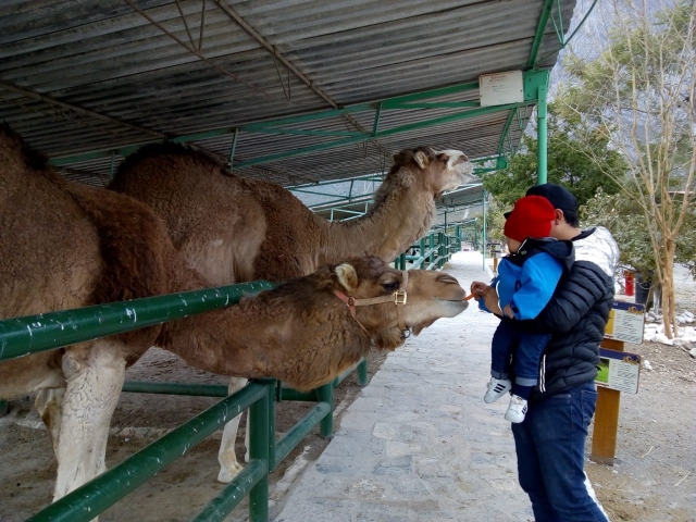  Safari-Tour in Monterrey 