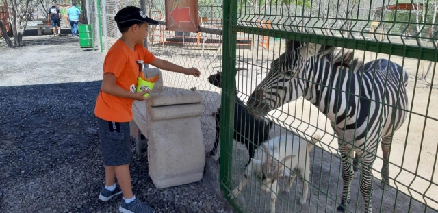  Safari in Monterrey im Zoo 