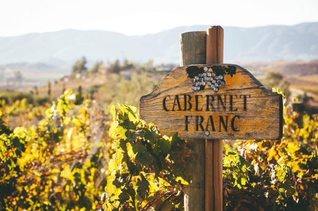  Vignobles en Basse-Californie 