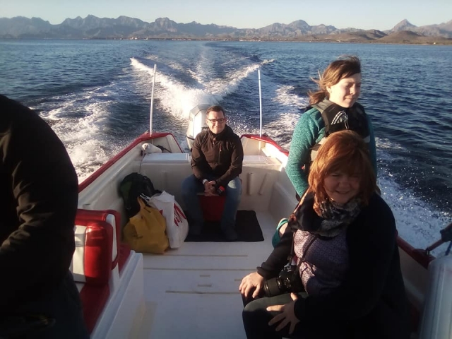  Tours in the Sea of Cortez 