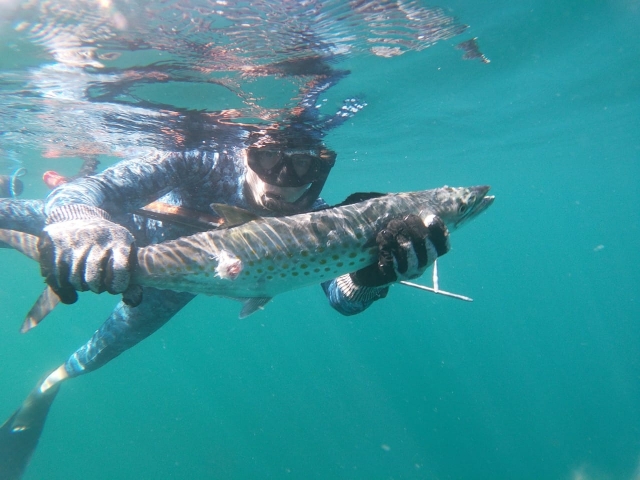  Spearfishing in Punta Mita 