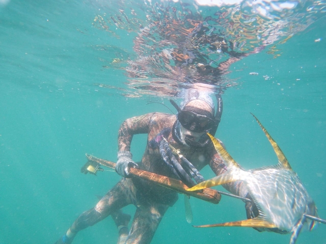  Fishing under the sea 