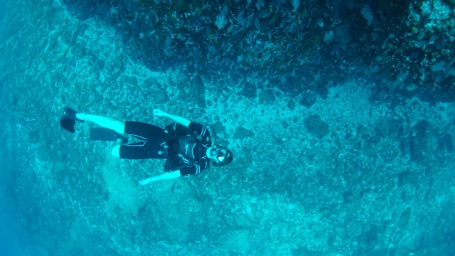  Diving with relaxation 