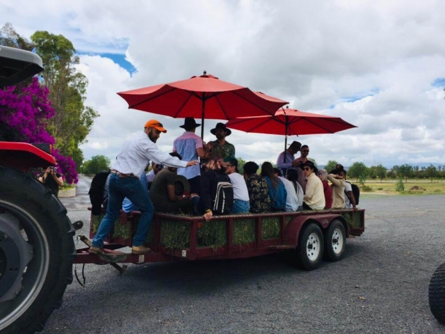 In direzione del vigneto