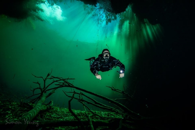 Immersioni nelle barriere coralline dei Caraibi messicani