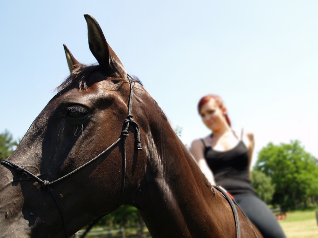 horseback riding 