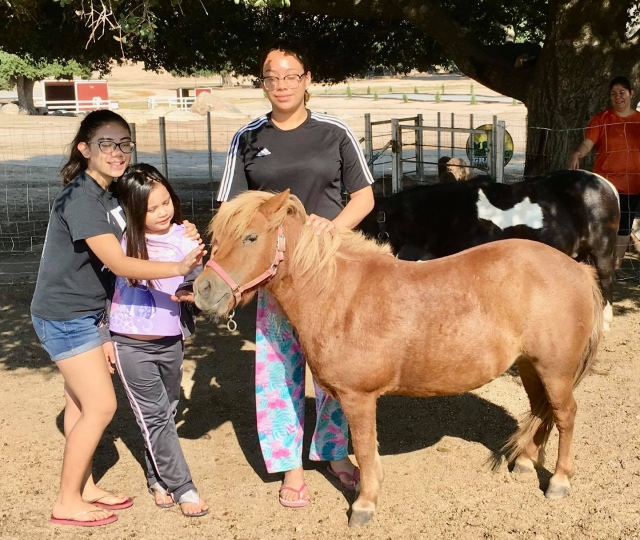  Noleggio pony a Tecate 
