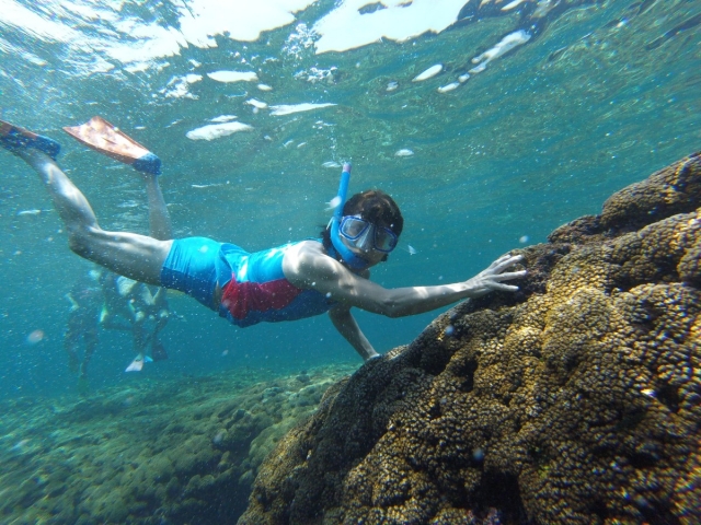  Activité de snorkeling en famille 