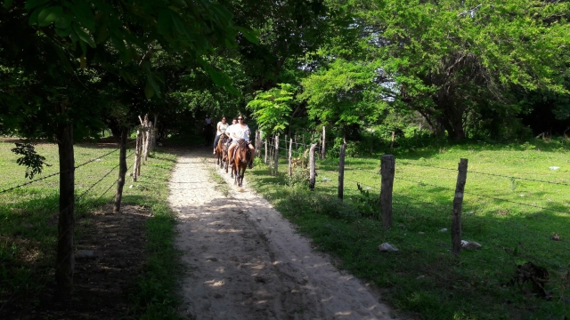  Équitation à la sources chaudes de Manialtepec