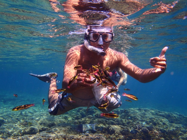  Snorkeling sulle spiagge di Oaxaca 