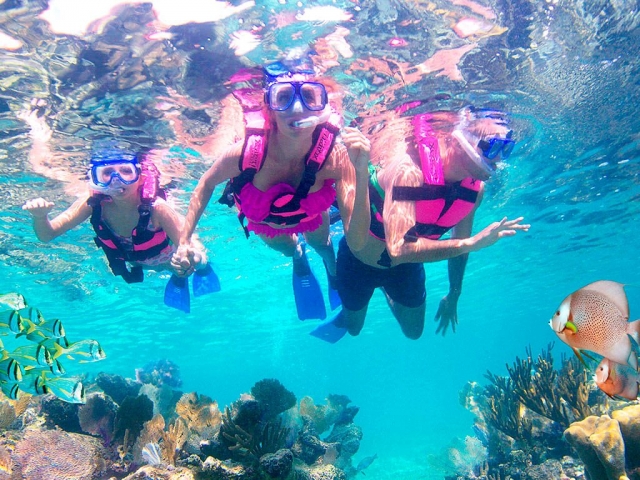  Corals in the Riviera Maya 