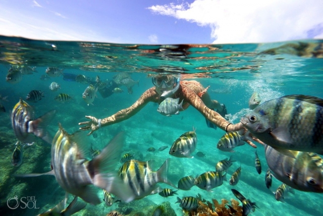  Reef swim Cancun 