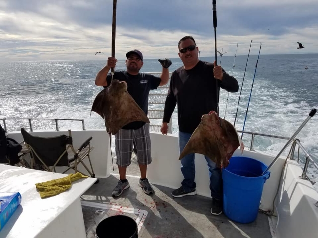  Sport fishing in Sonora 