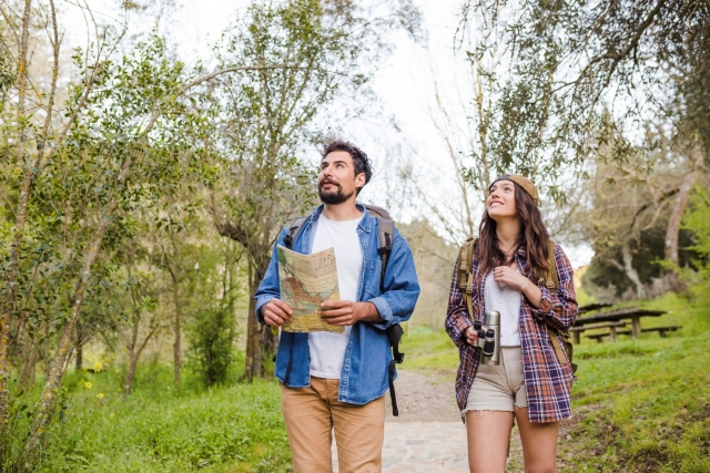  Discover the forest of Valle de Bravo 