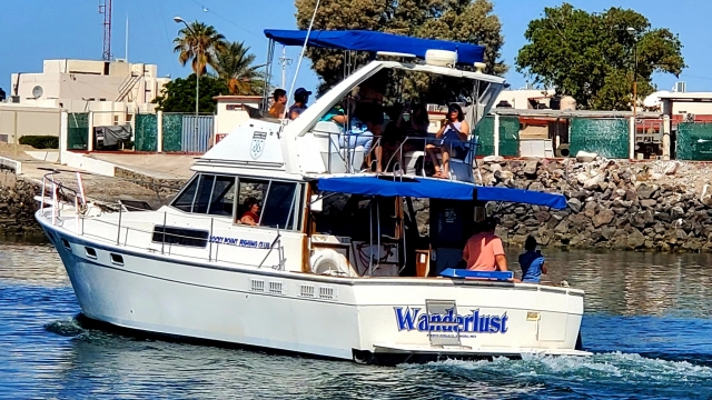  Excursion en bateau sur la mer Cortez