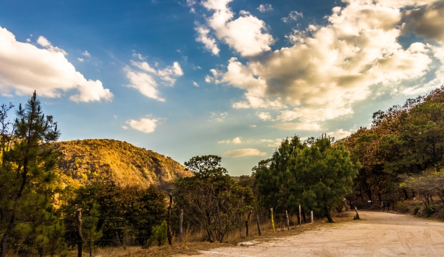 paisagens maravilhosas na floresta 