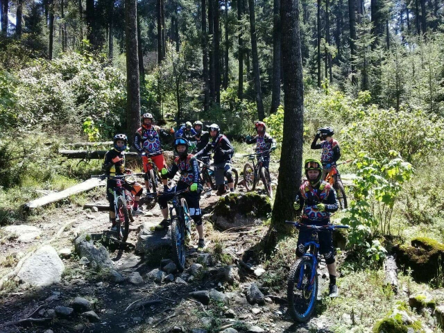  Pédaler à travers la forêt 