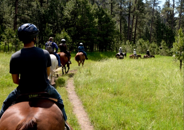 Cabalgata por el bosque