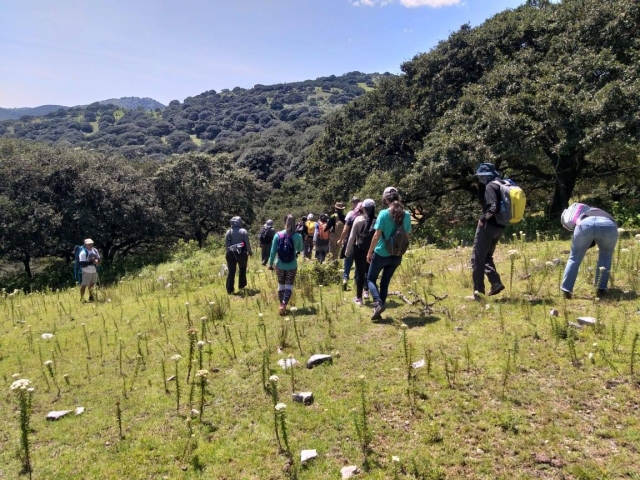  Parcourez notre itinéraire de randonnée à San Luis Potosí