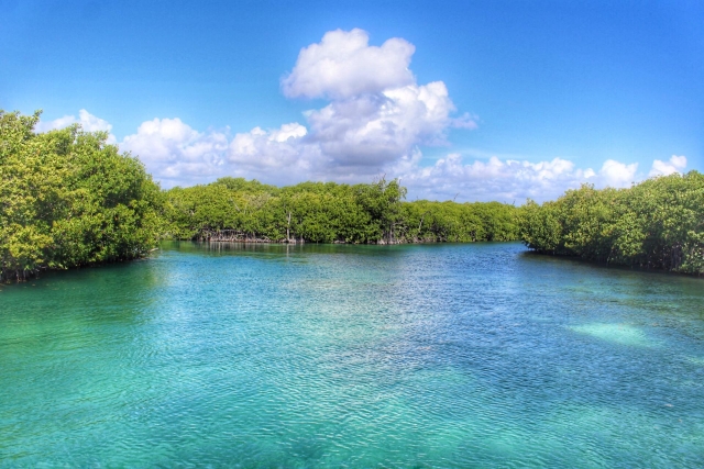 Caribe mexicano