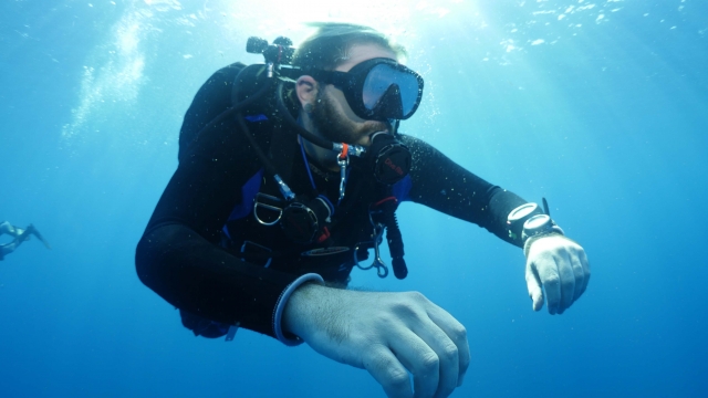  Explorez le fond de l'océan et observez la vie marine 