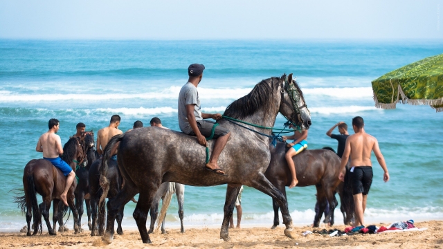  Strand in die mexikanische Karibik beim Reiten 