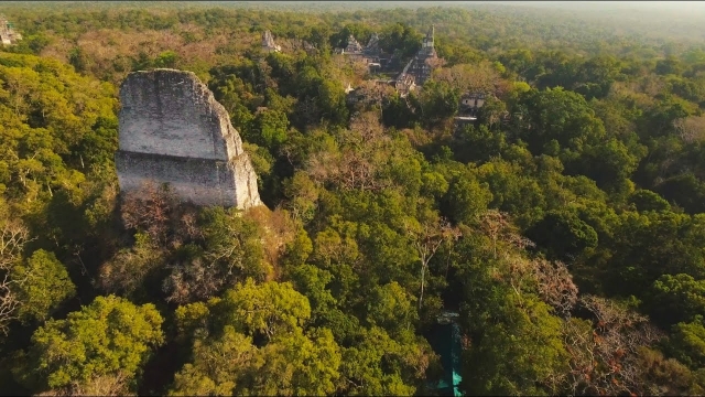  Luftaufnahme des Maya-Dschungels 