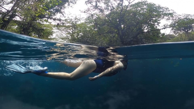  浮潜水上运动 