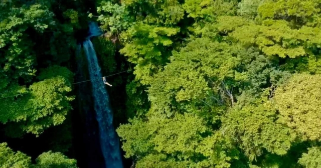  位于韦拉克鲁斯的高空滑索 