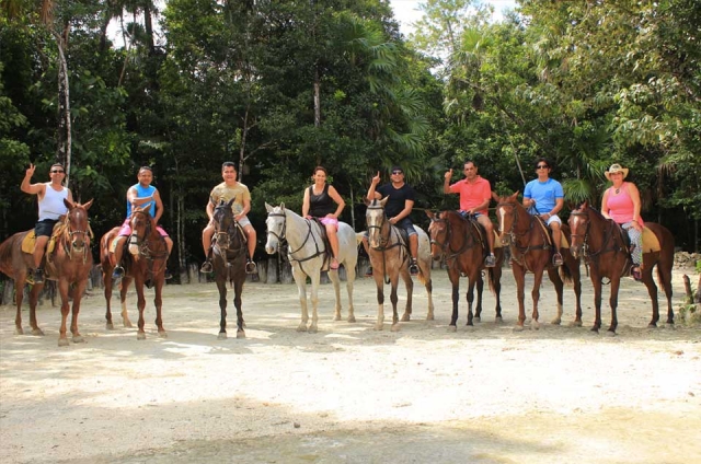  Équitation 