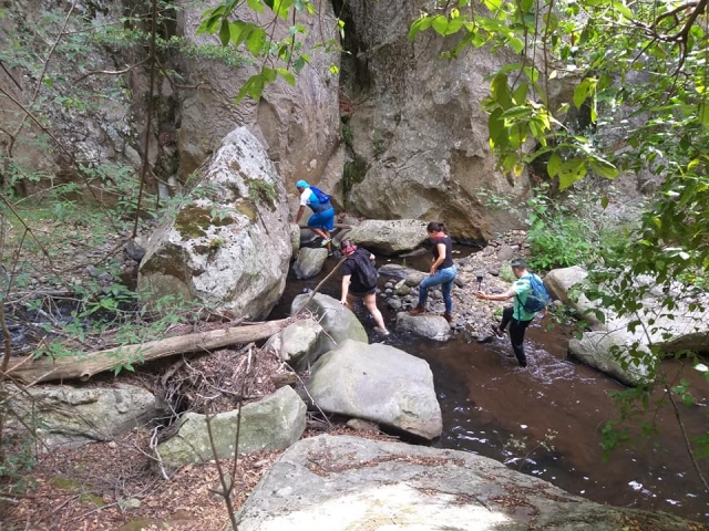Guided walk 