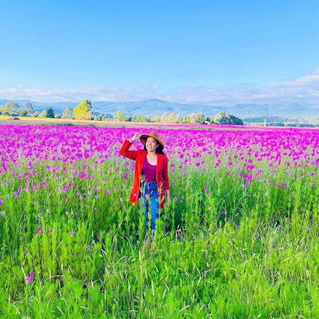 Beautiful landscapes 
