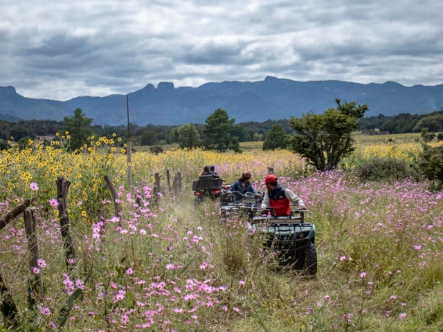  Fields and ATVs 