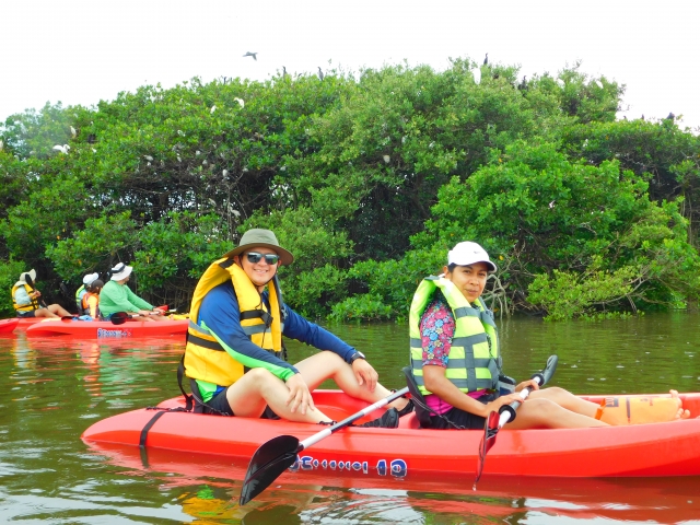  Tour in kayak 