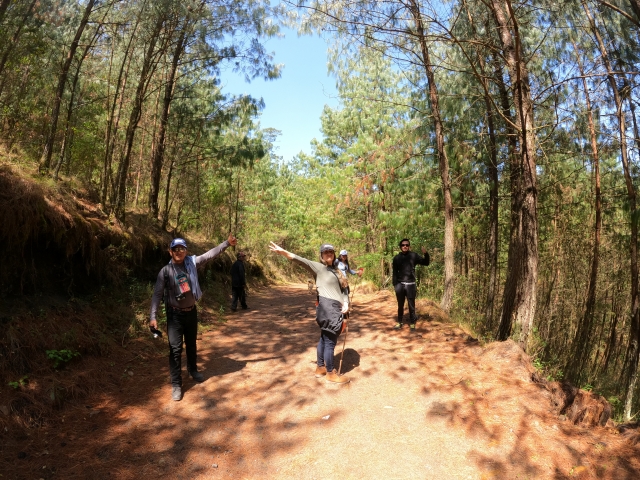  Walking among trails 