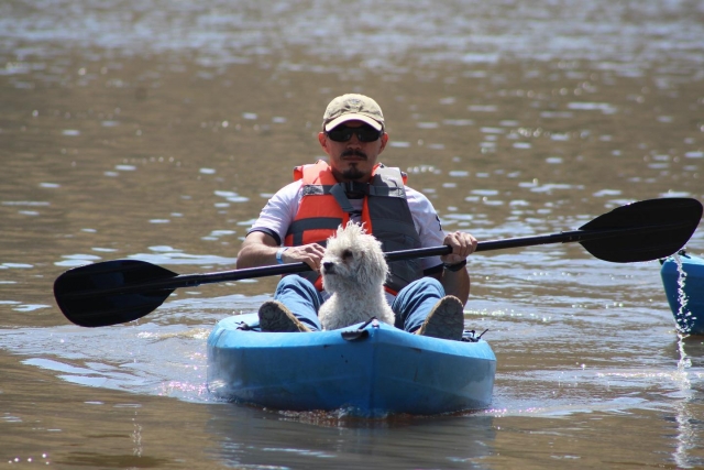 Pagayer en kayak avec un animal de compagnie 