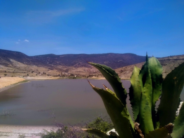 Vista em direção ao lago 