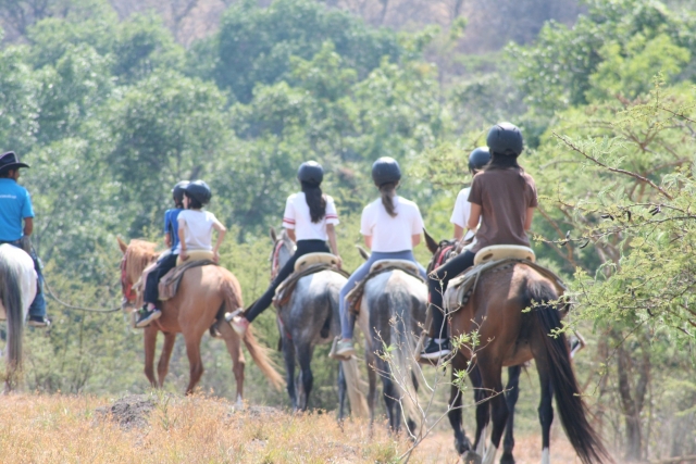 Tour en caballo