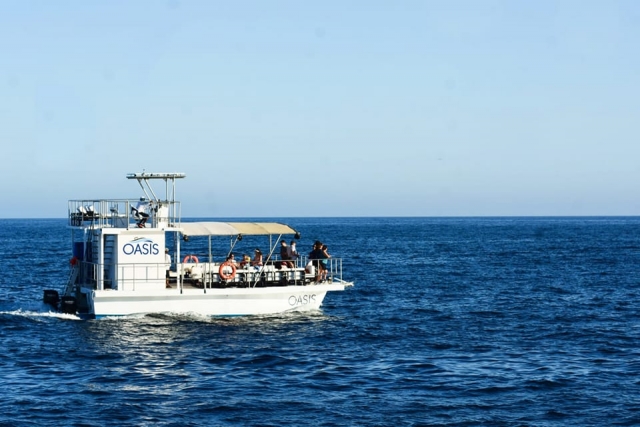 Catamarán 