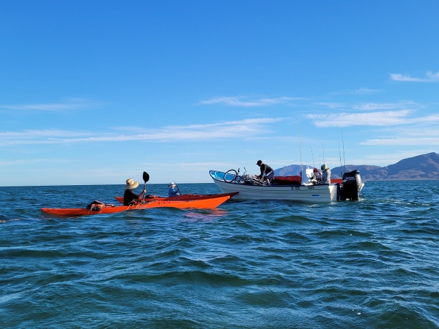  Attività acquatiche 